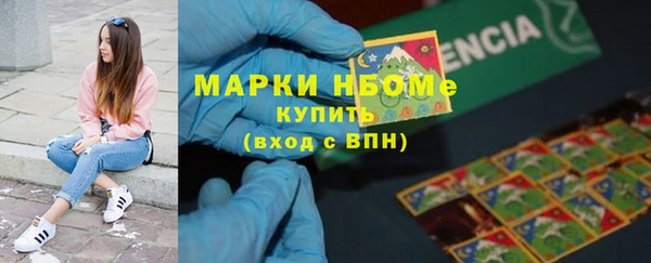 spice Богородск