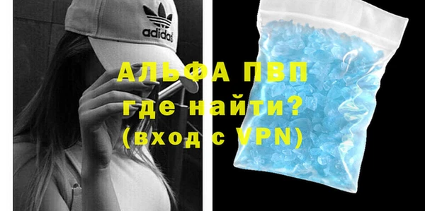 СК Богородицк
