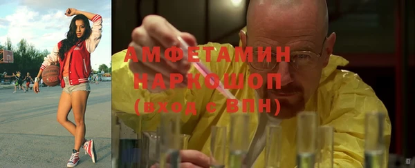spice Богородск