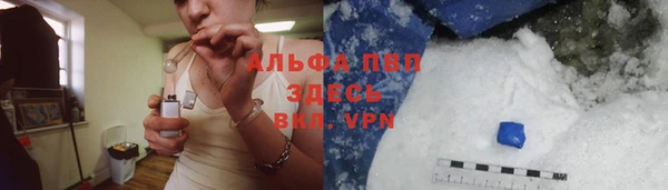 СК Богородицк