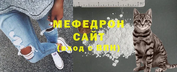 spice Богородск