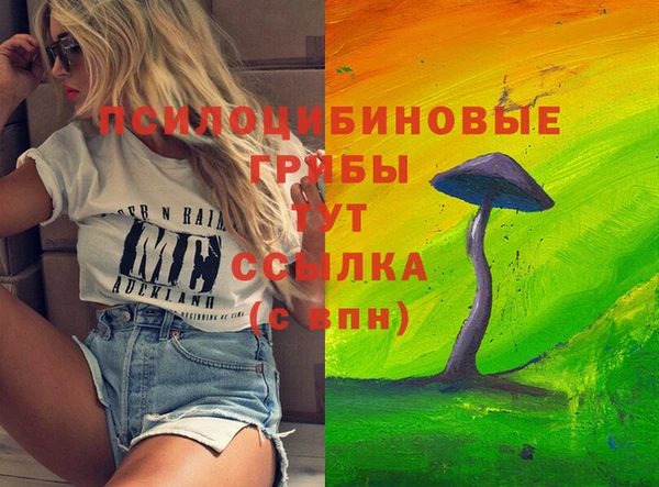 мяу мяу кристалл Богданович