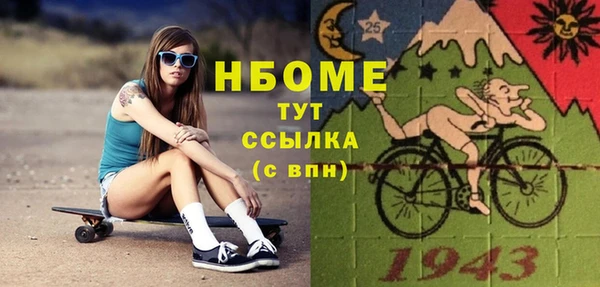 spice Богородск