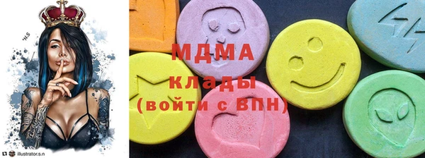 spice Богородск